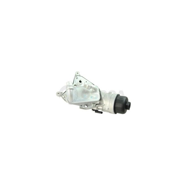 Oljekylare, motor