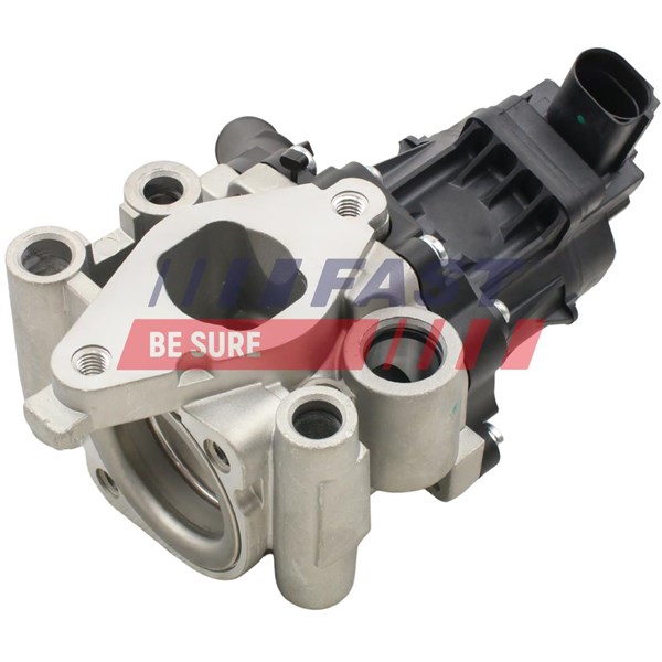 Egr-ventil Fast FT60202 FAST