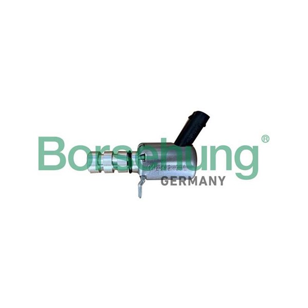 Centralventil, kamaxelläge, Höger Borsehung B12313 Borsehung