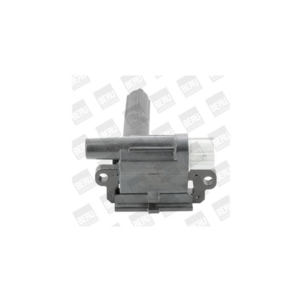 Tändspole 12V Beru ZSE069 BERU