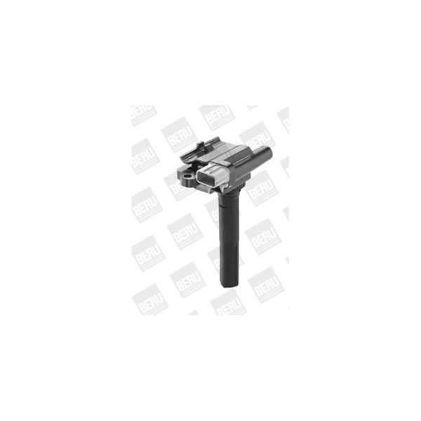 Tändspole 12V Beru ZSE069 BERU