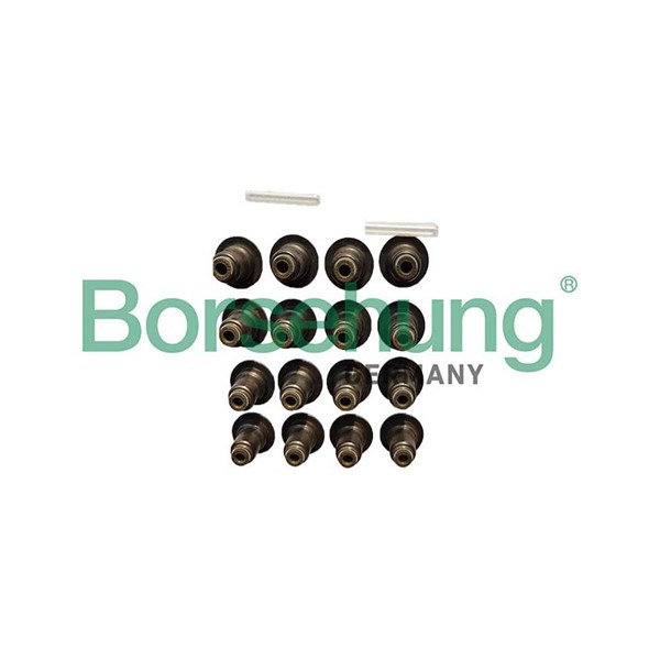 Ventilpackning Borsehung B12506 Borsehung