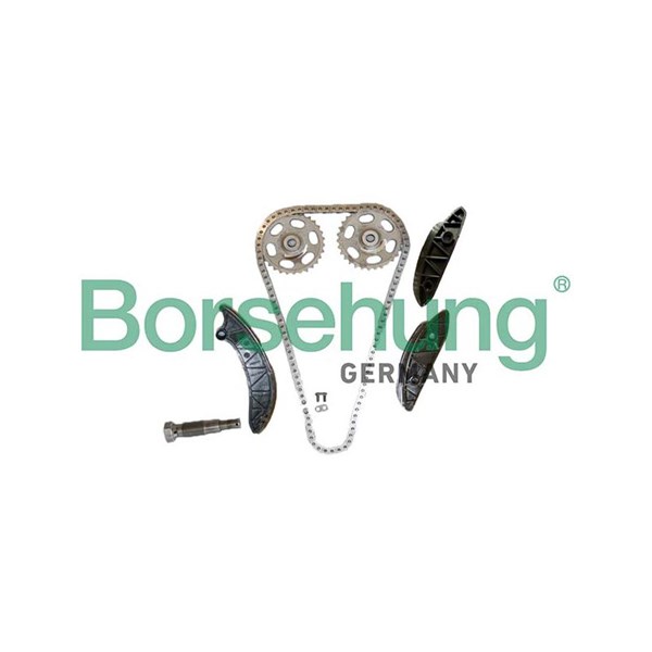 Kamkedjesats Borsehung B12725 Borsehung