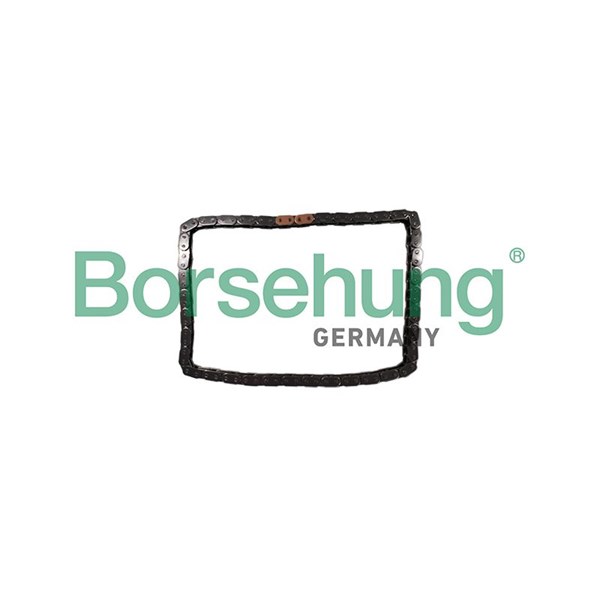 Kamkedja Borsehung B12784 Borsehung
