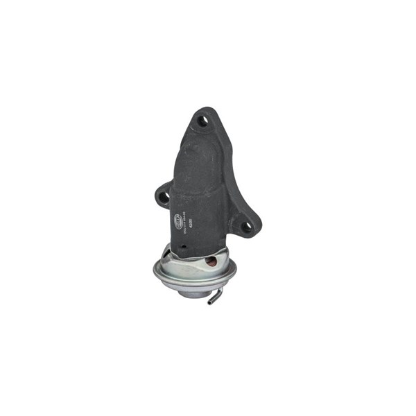 Egr-ventil Hella 6NU 014 864-581 HELLA