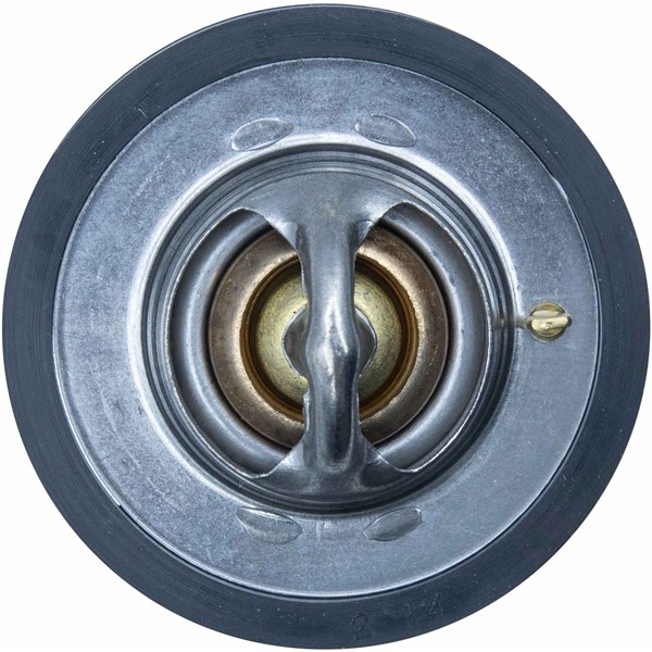 Termostat, kylvätska, Vänster Termostat, kylvätska, Vänster