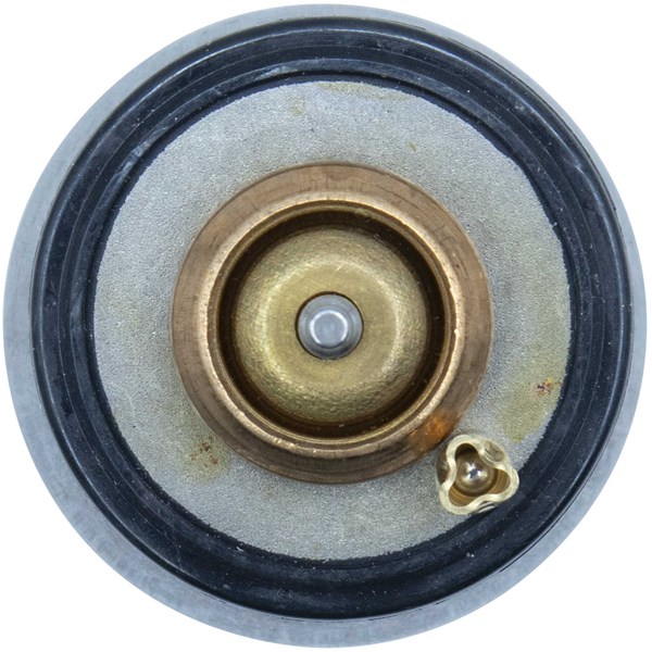 Termostat, kylvätska Termostat, kylvätska