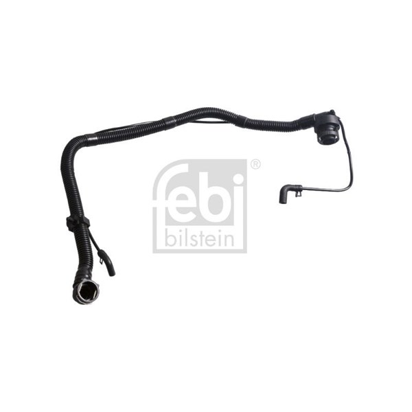Slang, vevhusventilation Febi bilstein 185675 FEBI BILSTEIN