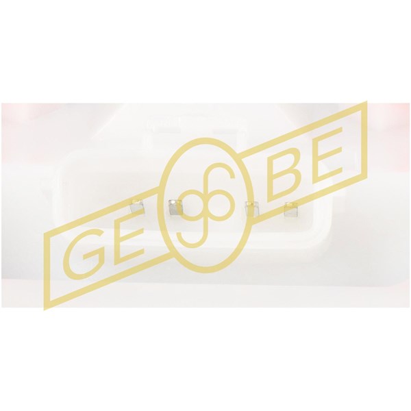 Bränslepump 12V, I bränslebehållaren Gebe 9 6075 1 GEBE Bränslepump 12V, I bränslebehållaren Gebe 9 6075 1 GEBE