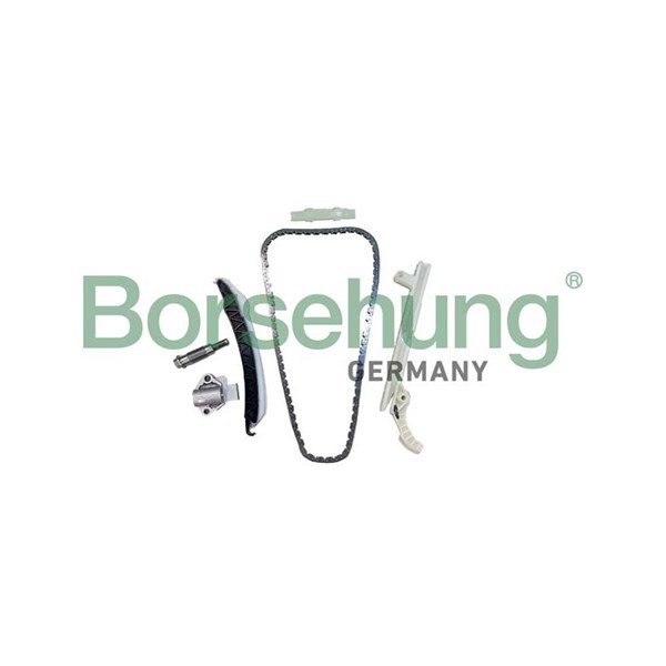 Kamkedjesats Borsehung B12556 Borsehung