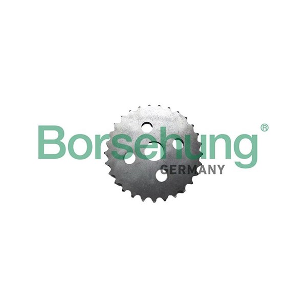 Oljepump Borsehung B12731 Borsehung