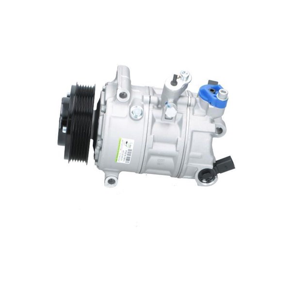 Kompressor, klimatanläggning Bv psh +line 090.205.009.876 BV PSH