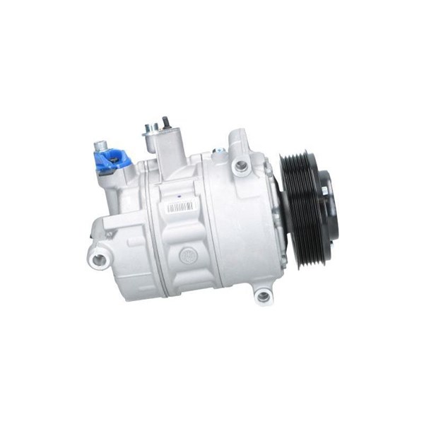 Kompressor, klimatanläggning Bv psh +line 090.205.009.876 BV PSH