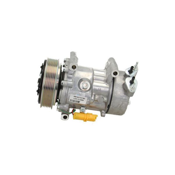 Kompressor, klimatanläggning Bv psh +line 090.215.070.876 BV PSH