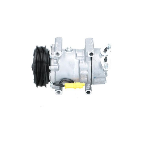 Kompressor, klimatanläggning Bv psh +line 090.225.010.876 BV PSH