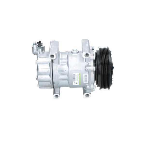 Kompressor, klimatanläggning Bv psh +line 090.225.010.876 BV PSH
