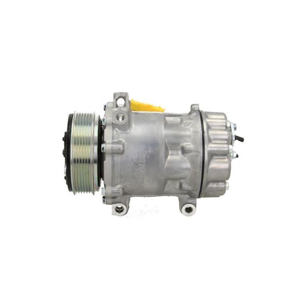Kompressor, klimatanläggning Bv psh +line 090.225.045.876 BV PSH