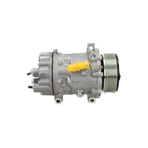 Kompressor, klimatanläggning Bv psh +line 090.225.045.876 BV PSH