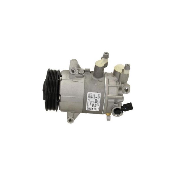 Kompressor, klimatanläggning Bv psh +line 090.305.001.876 BV PSH
