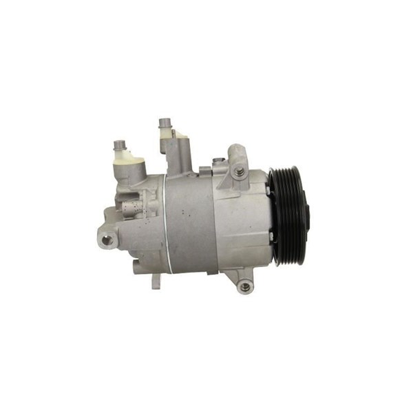 Kompressor, klimatanläggning Bv psh +line 090.305.001.876 BV PSH