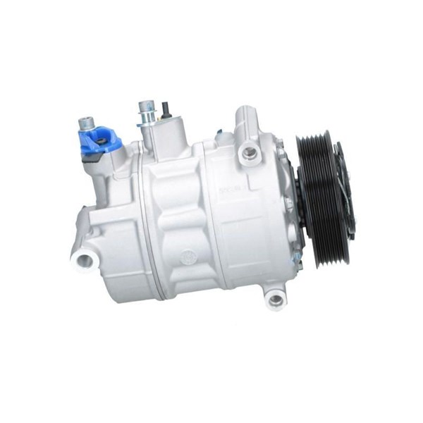 Kompressor, klimatanläggning Bv psh +line 090.305.046.876 BV PSH