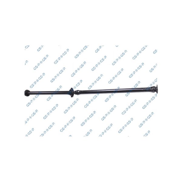 Kardan, Bak Gsp PS901585 GSP
