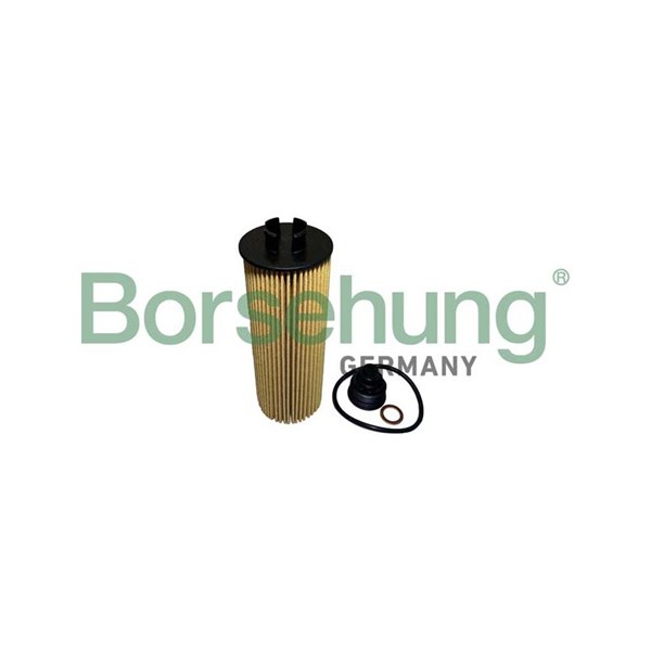 Oljefilter Borsehung B10436 Borsehung