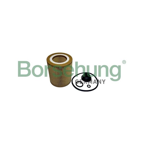 Oljefilter Borsehung B10439 Borsehung