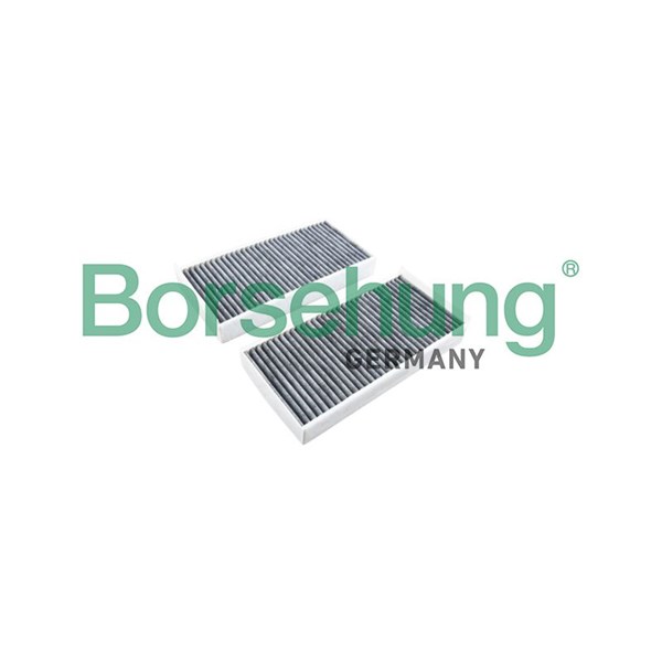 Kupefilter Borsehung B12859 Borsehung