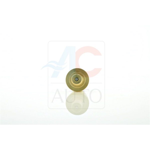 Reglerventil, kompressor Acauto AC-02SD13 ACAUTO Reglerventil, kompressor Acauto AC-02SD13 ACAUTO