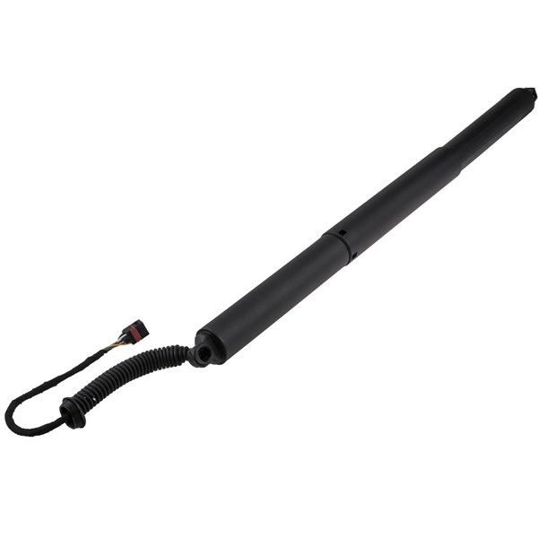 Elektrisk baklucka, Vänster NTY NTY