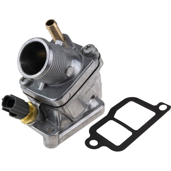 Termostathus NTY NTY