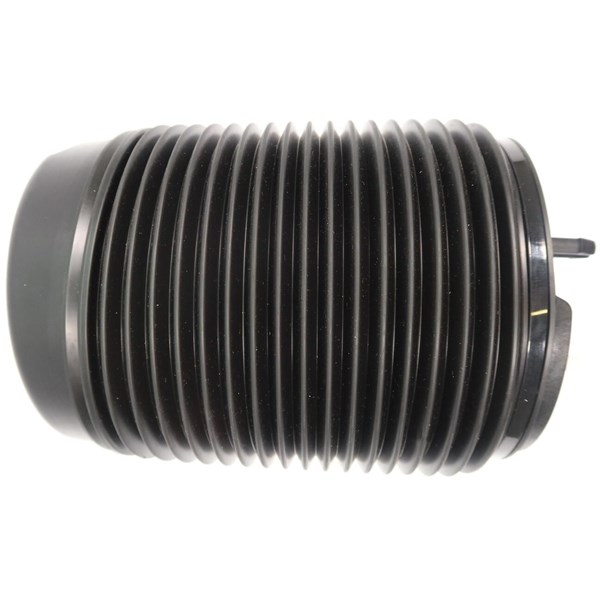 Luftfjäder, hjulupphängning, Bakaxel höger MONROE MONROE