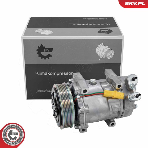 Kompressor, klimatanläggning ESEN SKV ESEN SKV