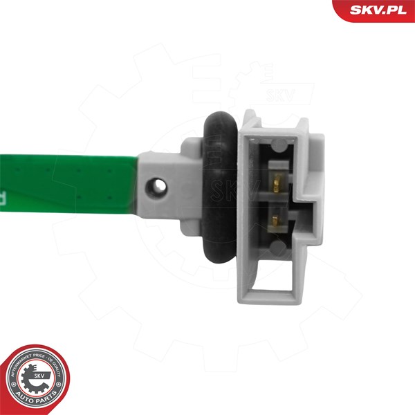 Sensor, innertemperatur, Fram, Mitt, Fotutrymme ESEN SKV ESEN SKV